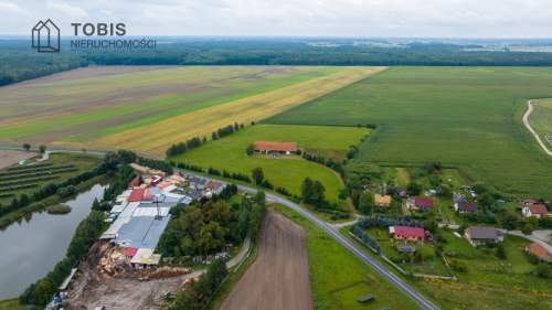 Stadnina z ogromnym potencjałem 