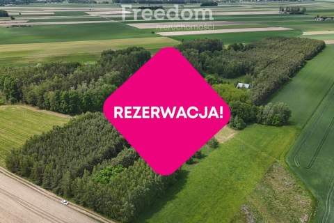 Urokliwe siedlisko w pobliżu rzeki Liwiec