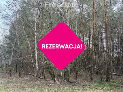 Na sprzedaż działki w Golubiu Dobrzyniu