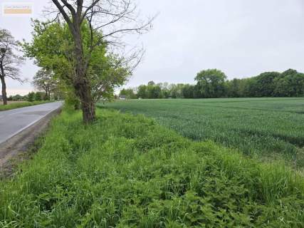 Działki Budowlane Wyszogród