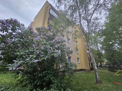 3 pokoje w zieleni loggia Bemowo 68,9 m