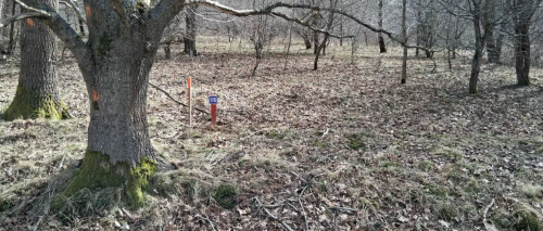 6,75 ha z WZ na 20 domów 5 km od morza Charnowo/Ustka
