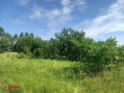 WÓLKA DZIAŁKA ROLNA POW. 4,8 HA PRZY DK 10