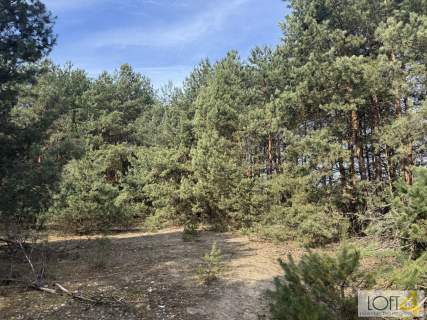 Twój niemały kawałek natury 1,26 ha.