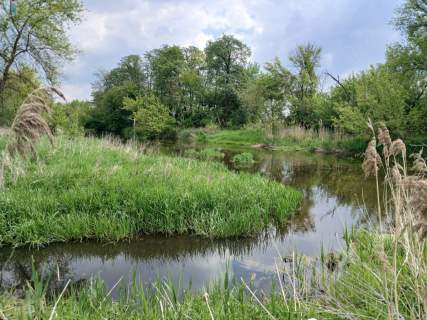 Klimatyczne siedlisko pod Łowiczem