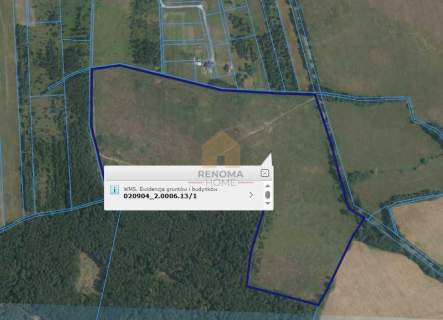 Działka powierzchni 19,64 ha w Miłogostowicach.