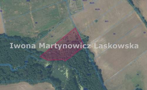 Grunt leśny - 1,5 ha - Ustronie k. Lubina
