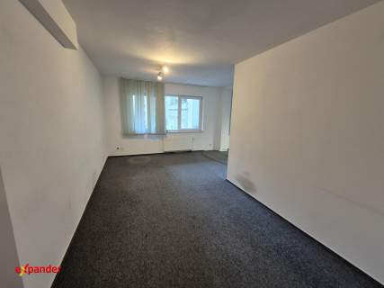 Lokal biurowy nad Starą Odrą przy Centrum Biznesu