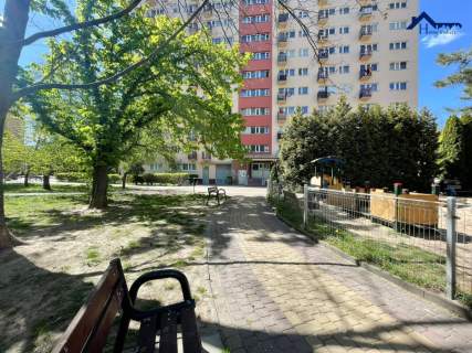 Po remoncie 3-pok. Komunikacja Balkon 