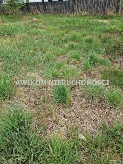 Działka budowlana na sprzedaż, 1000 m2, Budy-Grzybek