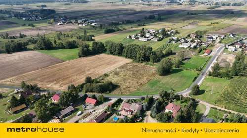 Działki w Grodzisku Indywidualnie lub całość