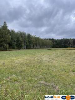 Działka inwestycyjna 7000 m Sieraków k. Radzymina