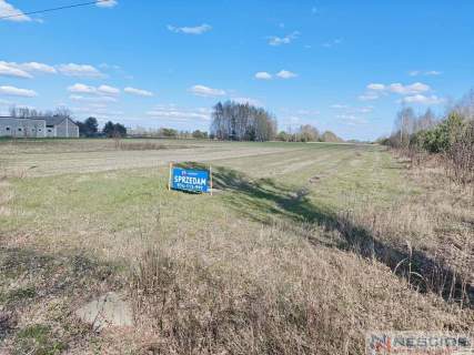 Działka rolna 5800 m2 -Dąbrowa, gm Mrozy