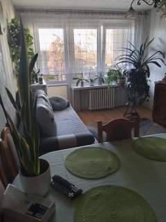 Mieszkanie