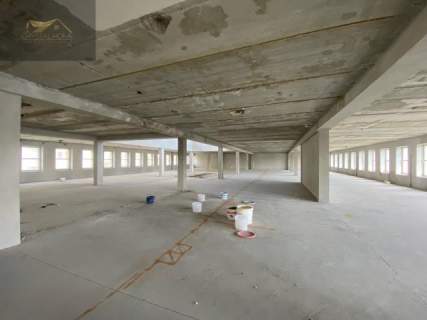 Lokal 1000m2