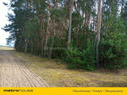 Działka orna w Uchaniu Dolnym k/Łowicza 24 000 m2