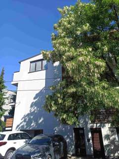 Sprzedam mieszkanie 1 pokojowe 24,31 m2 z 2019 r. Konwaliowa