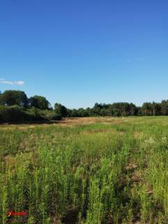 BLINNO DZIAŁKA ROLNA BEZ MPZP 1,5 HA