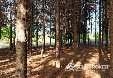 Działka 1150 m2 pod lasem / w mieście