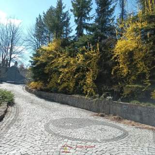 Dom-Rezydencja z ogrodem i z domem dla gości