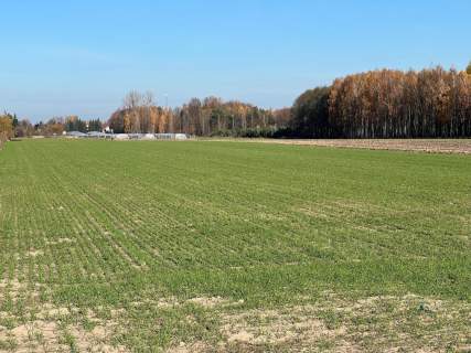 DZIAŁKA 1450 M2- WOLA GUTOWSKA