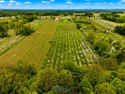 Działka Kocerany - 4,72 ha - Blisko S7