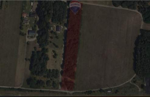 Michałów - urokliwa działka budowlana 5500 m2