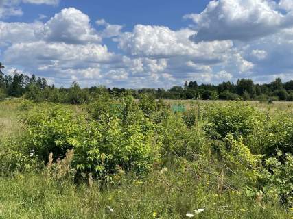 900 m2 budowlana, widok na las