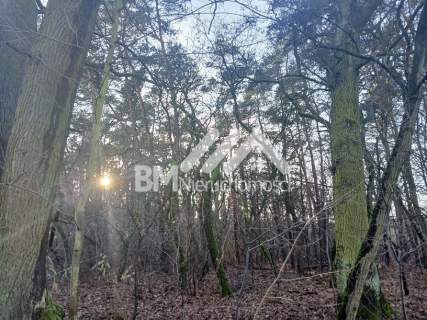 6500 m.kw., budowlano-leśna, Książenice