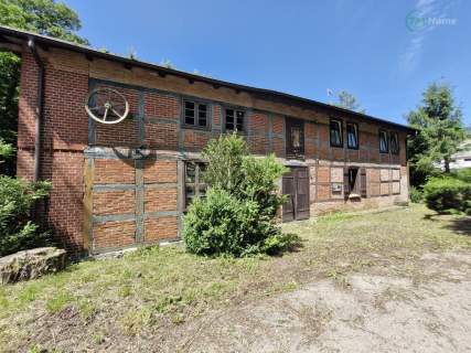 1,4 ha ziemi, dom Młyński - Piękne tereny 