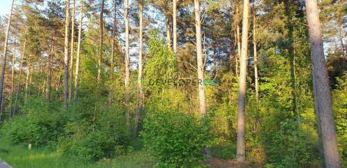 900 m2 budowlana, widok na las
