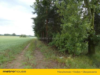 Działka budowlana na sprzedaż, 1000 m2, Nowa Mała Wieś