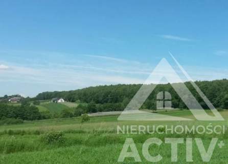 Rolna z potencjałem, rekreacja, 1ha, Kraków 15km