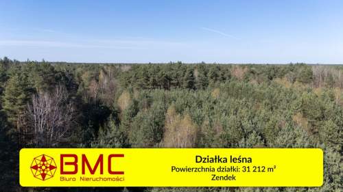 Działka leśna Zendek