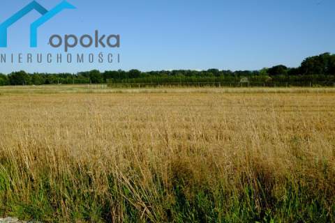Działka w Zaborzu