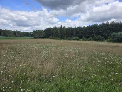 Działka budowlana na sprzedaż, 3652 m2, Ożarowice