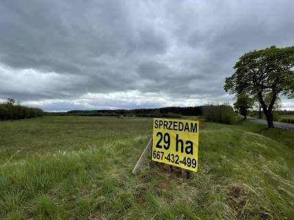 29 hektarów Gmina Biała Piska