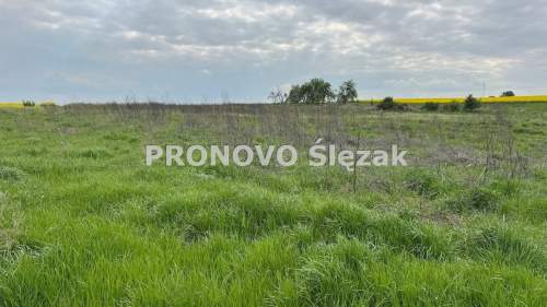 Sprzedam działkę z potencjałem
