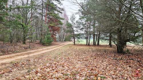 Działka 1743 m2, Pieńki