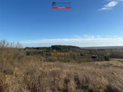 Działka rolna na sprzedaż, 7539 m2, Miasteczko Krajeńskie