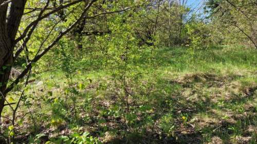 Działka budowlana na sprzedaż, 1690 m2, Sosnowiec