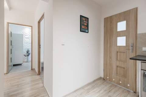 2 pokoje, pet-friendly, komórka - Lisa 8