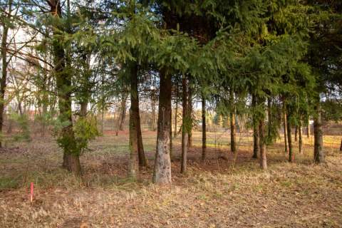 Działka budowlana Koszęcin 1024m2 ul. Słowików