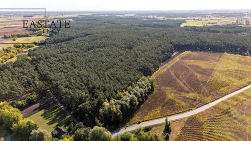 Działka dla osób szukających ciszy i natury