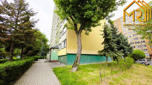 Mieszkanie na parterze   po kapitalnym remoncie