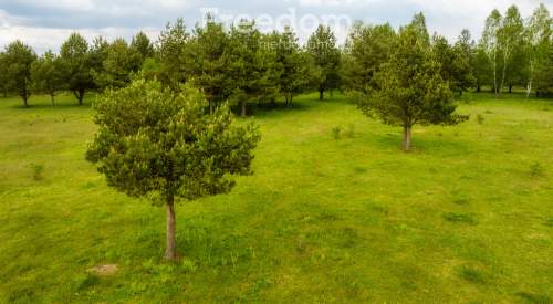 Działka Inwestycyjna 5,69 ha na Mazurach Szymany