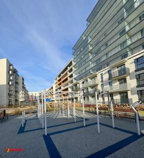 3 pok / Centrum / projekt gratis
