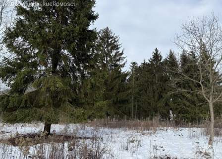 Ursynów, Dąbrówka, 1,05 ha, WZ inwestycyjna