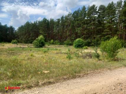 DZIAŁKA 4280 M2 W LESIE Z MOŻLIWOŚCIĄ W.Z OBOK LAS