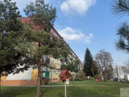 Mieszkanie 3 pokoje balkon 1 piętro Grunwaldzka